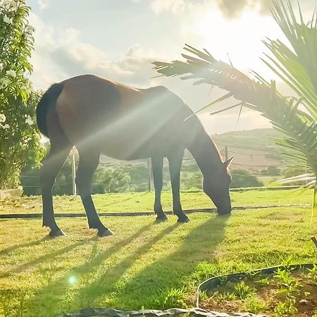 Fazenda Terra Bonita - Trilhas e Passeios a Cavalo - Suítes e Chalés Tipo Flat Serra de São Bento Esterno foto