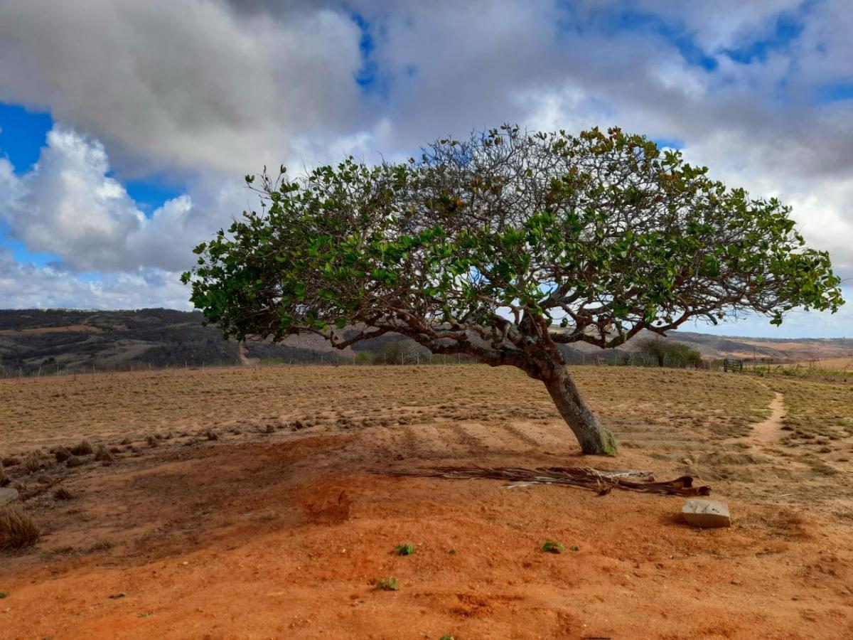 Fazenda Terra Bonita - Trilhas e Passeios a Cavalo - Suítes e Chalés Tipo Flat Serra de São Bento Esterno foto