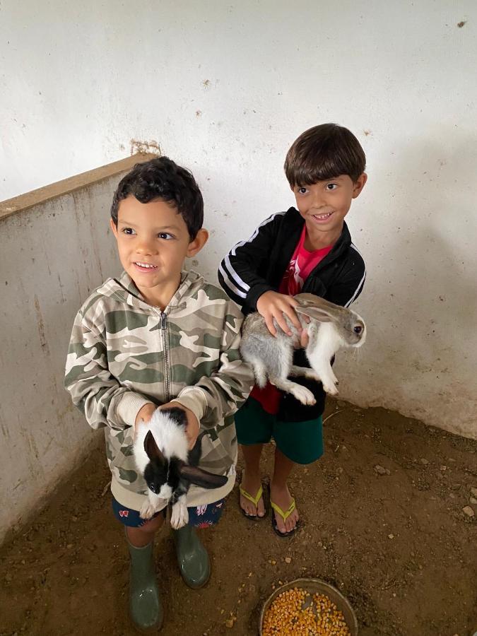 Fazenda Terra Bonita - Trilhas e Passeios a Cavalo - Suítes e Chalés Tipo Flat Serra de São Bento Esterno foto